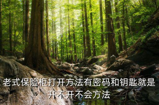 老式保险柜打开方法有密码和钥匙就是开不开不会方法