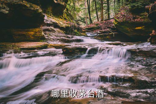 哪里收茅台酒