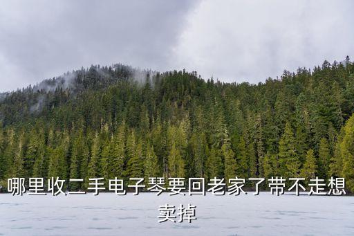 哪里收二手电子琴要回老家了带不走想卖掉
