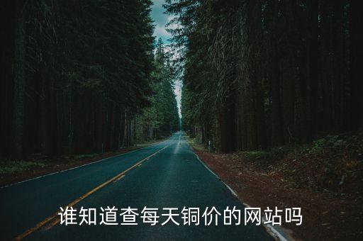 谁知道查每天铜价的网站吗