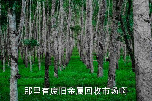 那里有废旧金属回收市场啊