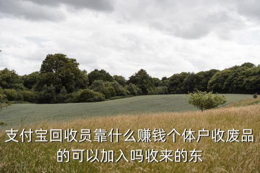 支付宝回收员靠什么赚钱个体户收废品的可以加入吗收来的东