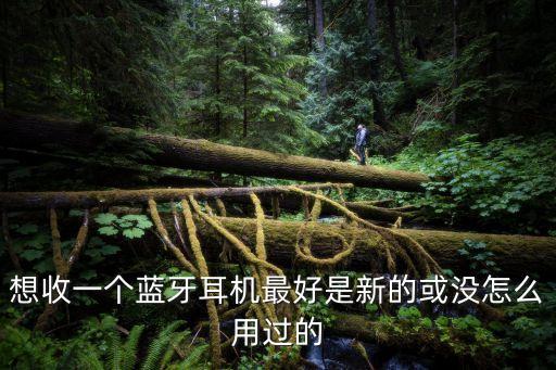 想收一个蓝牙耳机最好是新的或没怎么用过的
