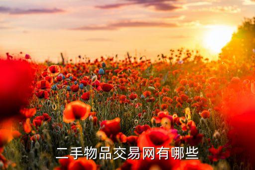 二手物品交易网有哪些