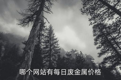 哪个网站有每日废金属价格