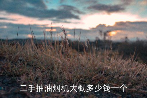 二手抽油烟机大概多少钱一个