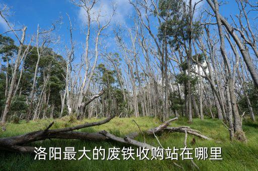 洛阳最大的废铁收购站在哪里
