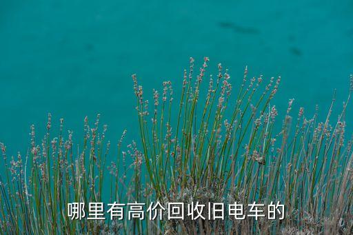 哪里有高价回收旧电车的