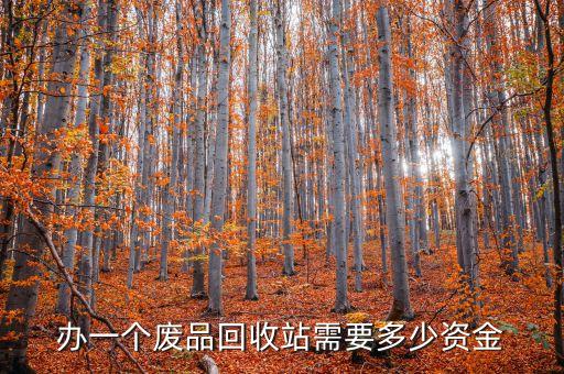 办一个废品回收站需要多少资金