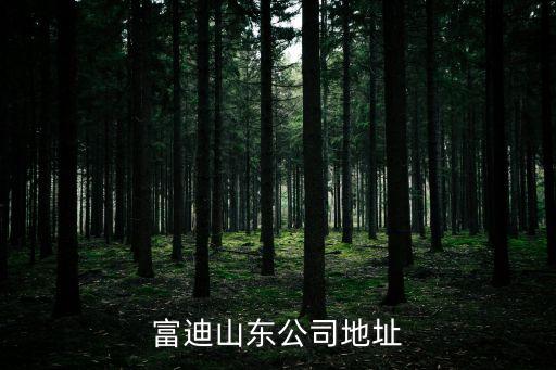 富迪山东公司地址