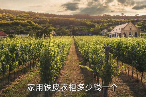 家用铁皮衣柜多少钱一个