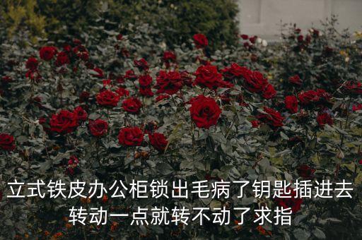 立式铁皮办公柜锁出毛病了钥匙插进去转动一点就转不动了求指