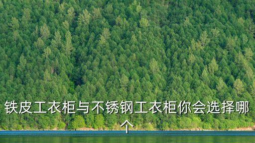 铁皮工衣柜与不锈钢工衣柜你会选择哪个