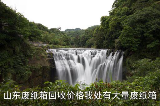 山东废纸箱回收价格我处有大量废纸箱
