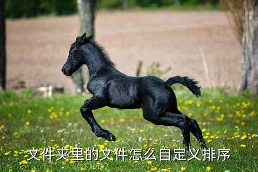 文件夹怎么调整文件顺序，怎样对文件夹调整排序