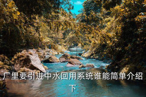 中水回收系统，厂里要引进中水回用系统谁能简单介绍下