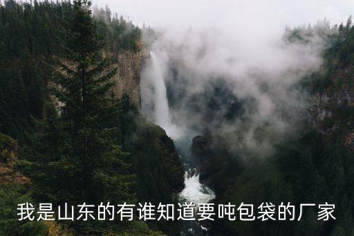 我是山东的有谁知道要吨包袋的厂家