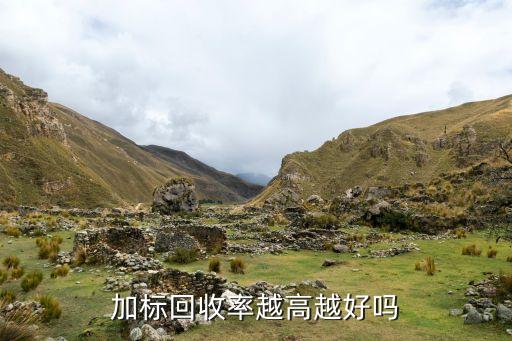 加标回收率越高越好吗