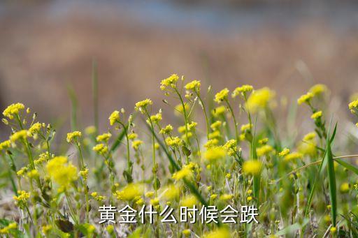 2023年金价什么时候跌，黄金一般什么季节价格回落