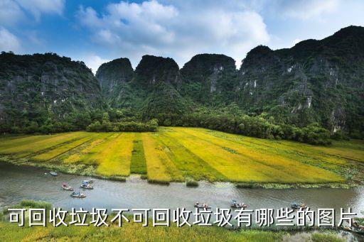 可回收垃圾不可回收垃圾有哪些的图片
