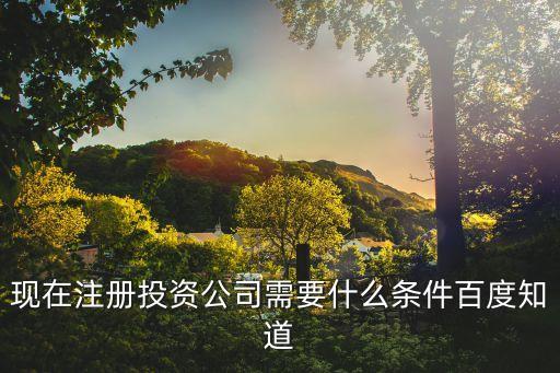 海南投资公司注册需要什么条件，现在注册投资公司需要什么条件百度知道