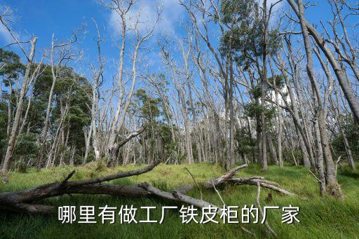 哪里有做工厂铁皮柜的厂家