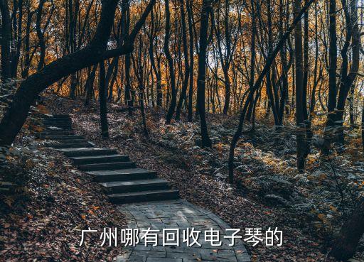 广州哪有回收电子琴的