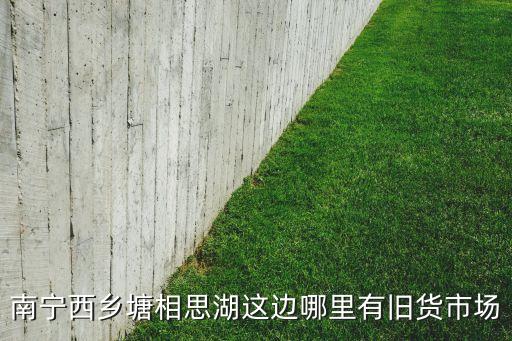南宁西乡塘相思湖这边哪里有旧货市场