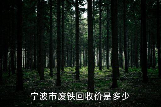 宁波市废铁回收价是多少