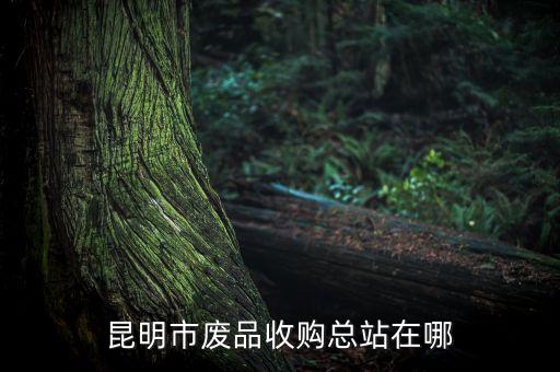 昆明市废品收购总站在哪