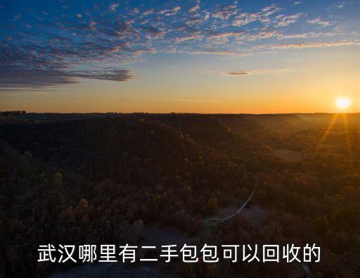 武汉哪里有二手包包可以回收的