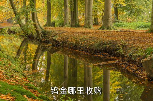 钨金哪里收购