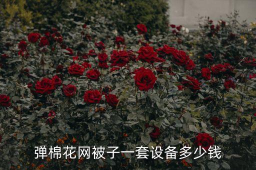 棉花网套加工机器设备价格，弹棉花网被子一套设备多少钱