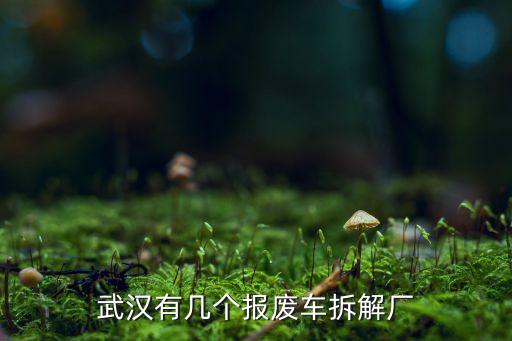 武汉有几个报废车拆解厂