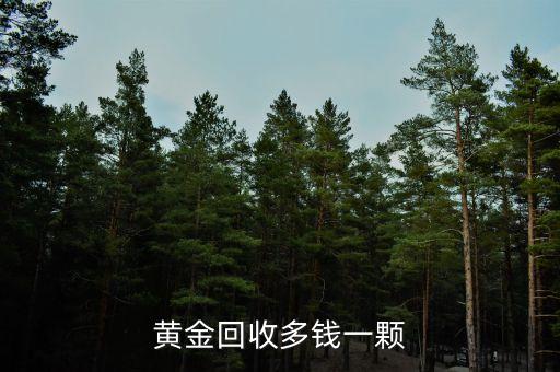 黄金回收多钱一颗