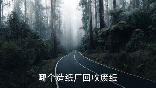 哪个造纸厂回收废纸