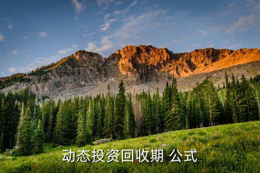 动态投资回收期 公式