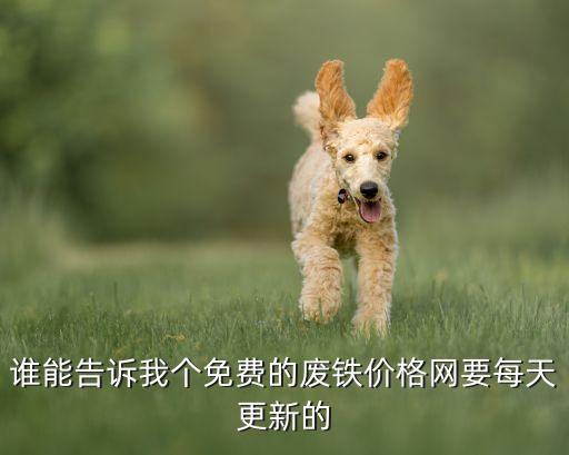 谁能告诉我个免费的废铁价格网要每天更新的
