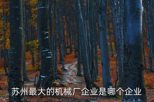 苏州最大的机械厂企业是哪个企业