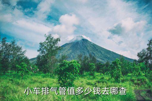小车排气管值多少钱去哪查