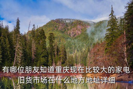 有哪位朋友知道重庆现在比较大的家电旧货市场在什么地方地址详细