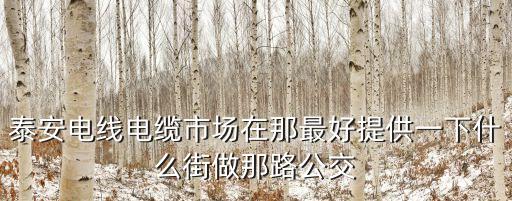 泰安电线电缆市场在那最好提供一下什么街做那路公交
