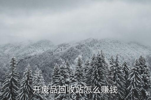 开废品回收站怎么赚钱