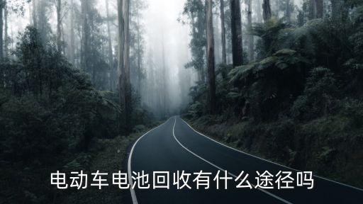 电动车电池回收有什么途径吗