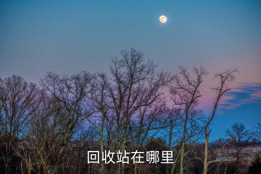 回收站在哪里