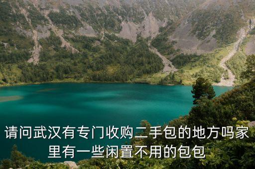 请问武汉有专门收购二手包的地方吗家里有一些闲置不用的包包