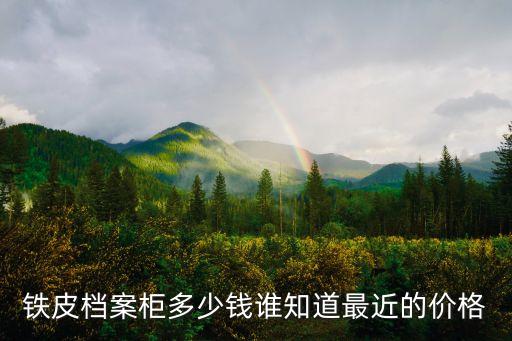 铁皮档案柜多少钱谁知道最近的价格