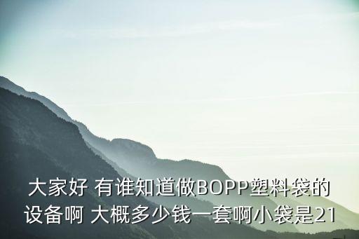大家好 有谁知道做BOPP塑料袋的设备啊 大概多少钱一套啊小袋是21