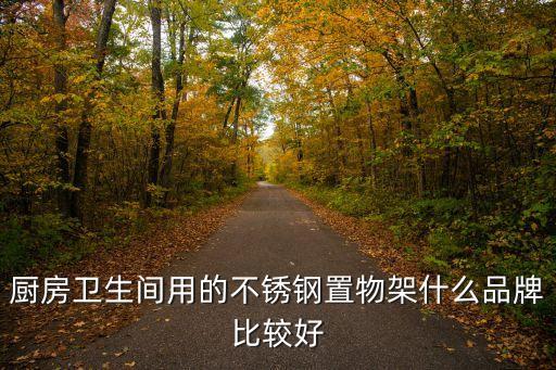 不锈钢置物架图片，厨房卫生间用的不锈钢置物架什么品牌比较好