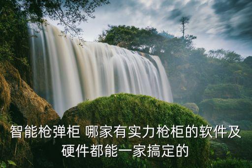 智能枪弹柜 哪家有实力枪柜的软件及硬件都能一家搞定的